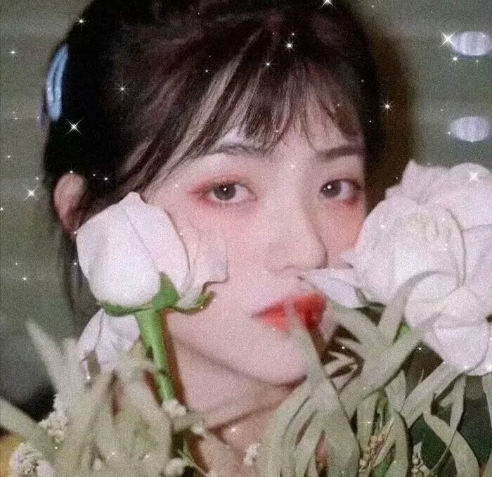 挎斗摩托车里的狗
